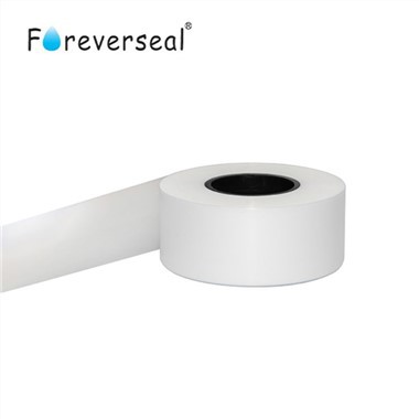 Phim cách nhiệt PTFE cho hàng không vũ trụ